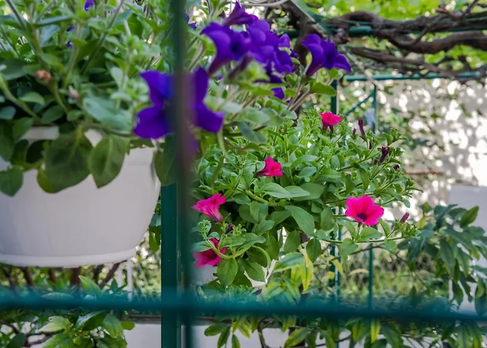 Heavenly Corner Lejlighed *