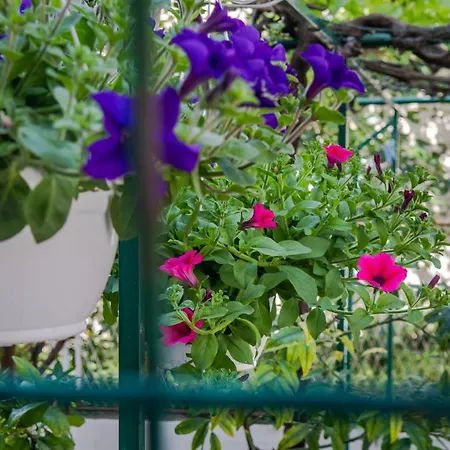 Heavenly Corner Apartamento *